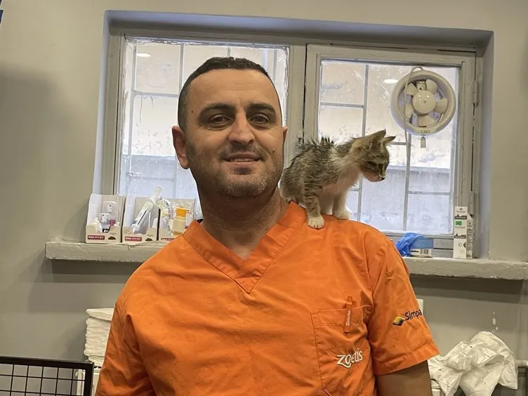 Eskişehir’de esrarengiz olay! Bu kedi gıdaklıyor: Sebebi şoke etti!