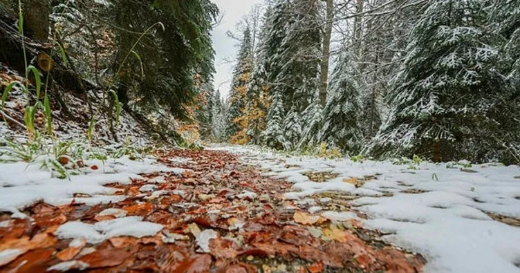 Zonguldak ormanlarında sonbahar ile kışın renkleri büyülüyor