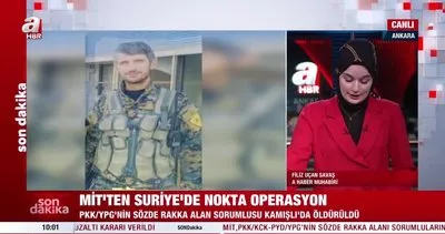 MİT’ten PKK’ya üst düzey darbe! Baran Kurtay etkisiz hale getirildi | Video
