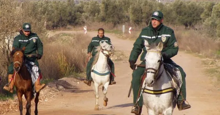 Hayrabolu Çiftçi Malları Koruma Başkanlığı kır bekçisi alacak