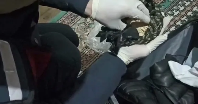 Düzensiz göçmenler uyuşturucu ile yakalandı
