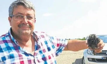 Kazana düsen baykusu kurtardı