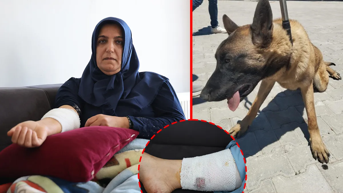 Kızını yolcu etmek isterken köpek saldırısına uğradı! Talihsiz kadın kabus dakikalarını anlattı: Beni paramparça edecekti! Kızını yolcu etmek isterken köpek saldırısına uğradı! Talihsiz kadın kabus dakikalarını anlattı: Beni paramparça edecekti!