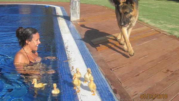 Dünya güzeli Aslı Baş’ın ölümü ile ilgili son dakika haberi! İntihar değil...