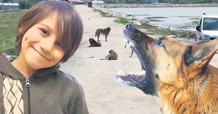 9 yaşındaki Emir Mete Durna’nın ailesi: Yasa hemen çıksın, kimse acı yaşamasın