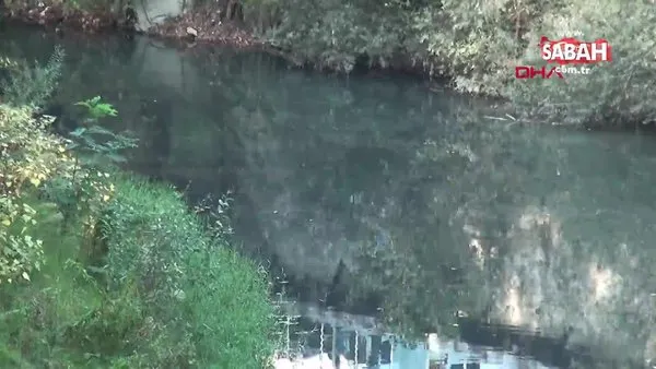 Bartın'da çevre felaketi! Bartın Irmağı siyaha büründü kötü koku oluştu | Video