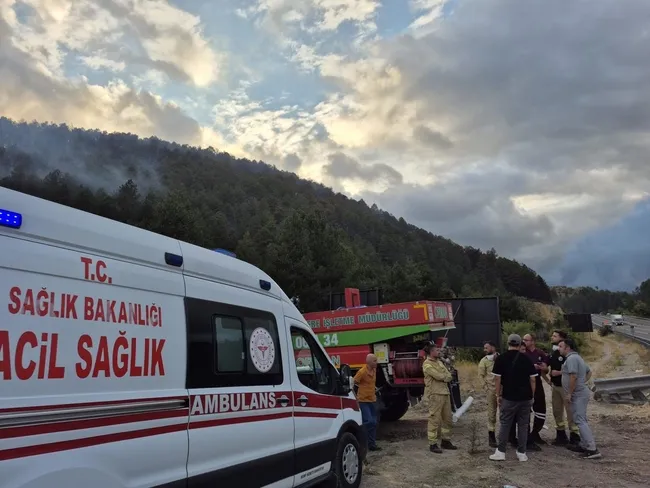 Bolu Mengen'de orman yangını: Ekiplerin müdahalesi ile kontrol altında