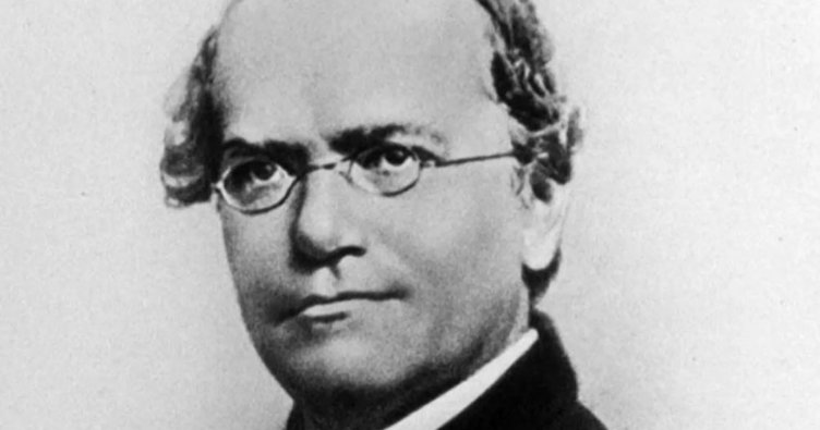 Gregor Mendel Kimdir? Gregor Mendel Hayatı, İlkeleri, Yaptığı Çalışmalar ve Bilime Katkıları