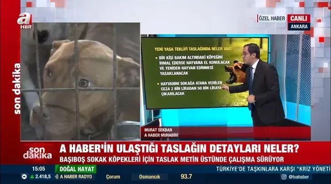 ak-partinin-sokak-hayvanlarina-yonelik-yasa-taslaginda-neler-var-iste-detaylar-1716728578121.jpg AK Parti’nin sokak hayvanları yasası taslağında neler var? İşte detaylar!