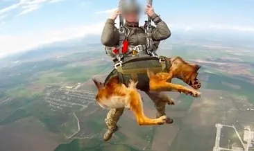 Rusya orduya savaşçı köpekleri kattı! 4 bin metreden paraşütle indiler