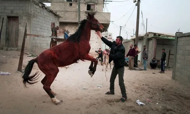 Dünyadan sıcak fotoğraflar