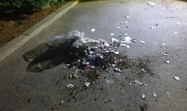 Kore Yarımadası’nda balon gerilimi: Çöpler Güney Kore Devlet Başkanlığı yerleşkesine düştü