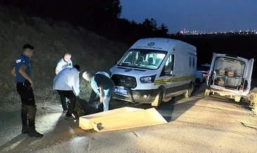 40 gündür kayıptı ormanda ölü bulundu