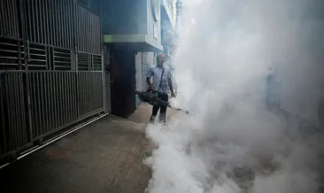 O ülkede dang humması alarmı