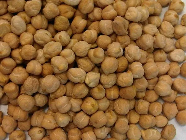 Bu besinler kalın bağırsak kanserine kalkan oluyor