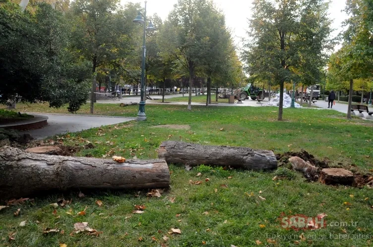 Gülhane Parkı’ndaki ve Gezi Parkı’ndaki ağaçları neden ölüme terk ettiniz | Melih Altınok yazdı