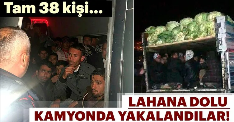 Lahana yüklü kamyonda 38 düzensiz göçmen yakalandı