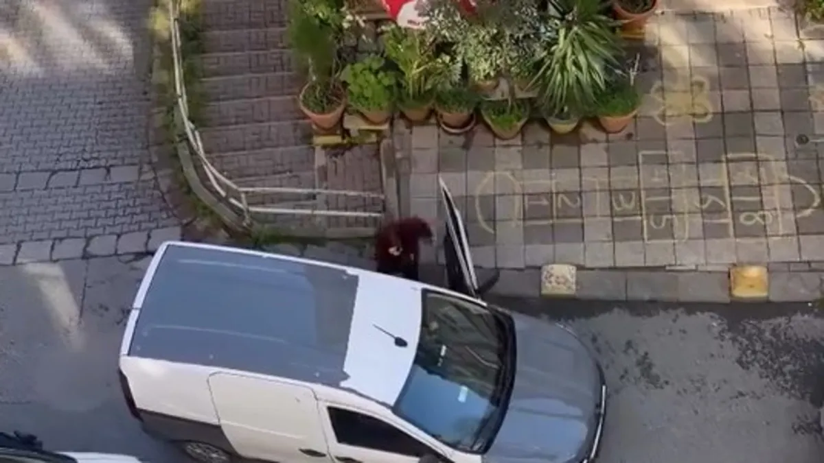 Kadıköy’de park yeri kavgası: O anlar kameraya anbean yansıdı! ‘Burası benim evimin önü’ Kadıköy’de park yeri kavgası: O anlar kameraya anbean yansıdı! ‘Burası benim evimin önü’