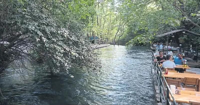 Narenciye diyarı Köyceğiz