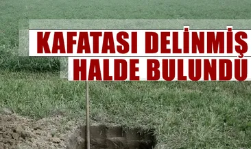 Ortaçağ’da yaşayan bir hamile kadın gömüldükten sonra doğum yapmış!