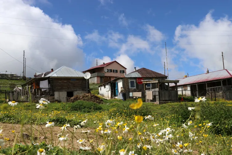 Korku filmi değil gerçek: Ayılardan korunmak için öyle bir yöntem denediler ki…