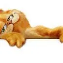 Garfield karikatürleri yayımlanmaya başladı