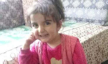 Kayıp minik Evrim’i Kurtlar arıyor...