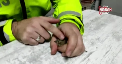 Malatya’da donmak üzere olan serçeye polis şefkati kamerada | Video