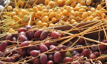 ruyada hurma gormek ne anlama gelir haberleri son dakika ruyada hurma gormek ne anlama gelir gelismeleri