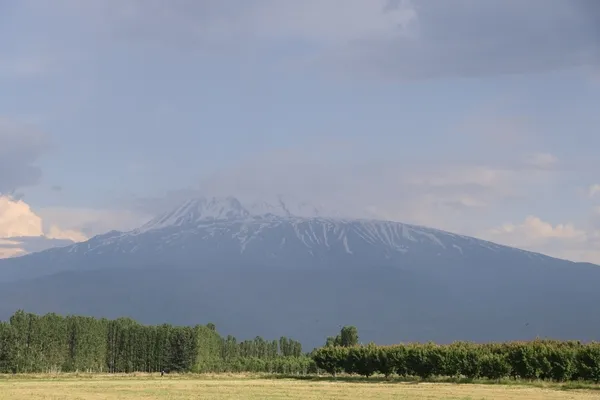 agri-daginda-yaz-tirmanis-sezonu-basladi-1781268386228.jpg
