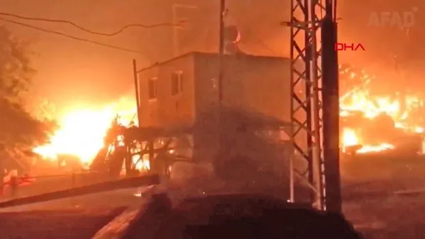 Adana Kozan'da ikinci gününde devam eden orman yangının acı tablosu sabah ortaya çıktı