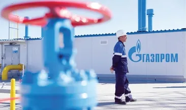 Batı kışı zor atlatacak