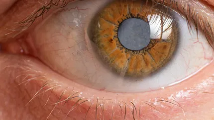 Rus porno filmlar tomosha Hammomda mast jinsiy aloqa