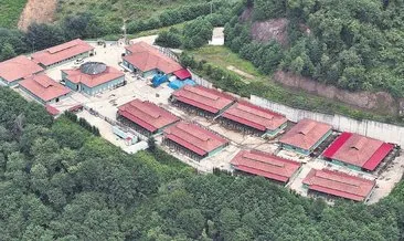 Sahipsiz köpekler yeni yuvalarına kavuştu #trabzon