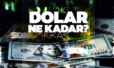 Dolar ve döviz kuru canlı rakamlar: 11 Kasım 2022 Bugün dolar ve euro ne kadar, kaç TL? İşte döviz kurunda son durum