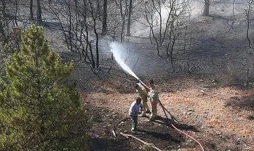 Kütahya'daki orman yangını kontrol altına alındı #kutahya