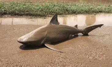 Avustralya’da sel!