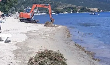 Balıkesir’de deniz çayırlarına zarar veren operatöre dudak uçuklatan ceza #balikesir