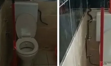 Banyoda korku dolu anlar! Yüzünü yıkamak için girdii hayatının şokunu yaşadı! #aydin Banyoda korku dolu anlar! Yüzünü yıkamak için girdii hayatının şokunu yaşadı! #aydin