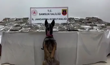 Samsun’da uyuşturucu madde imalatçılarına yönelik operasyon: 132 kilo toz esrar ele geçirildi #samsun