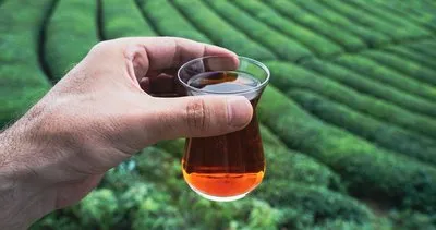 Çayı bunca zaman yanlış demliyormuşuz! İçmelere doyulmaz çayın sırrını uzmanı verdi: Demlerken içine bir tutam...
