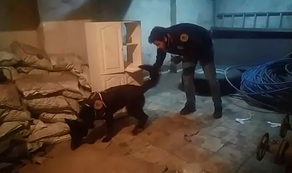 Şırnak merkezli uyuşturucu operasyonu - 2