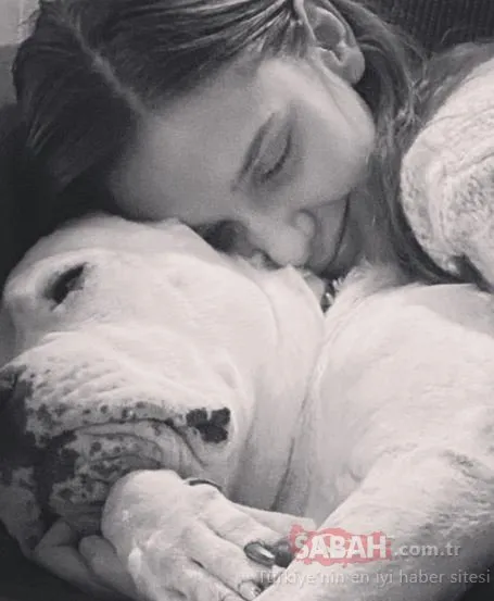 Güzel oyuncu Alina Boz köpeğine böyle veda etti! ’Huzur içinde uyu pamuk kalplim’