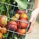 TÜİK, enflasyon sepetini güncelledi