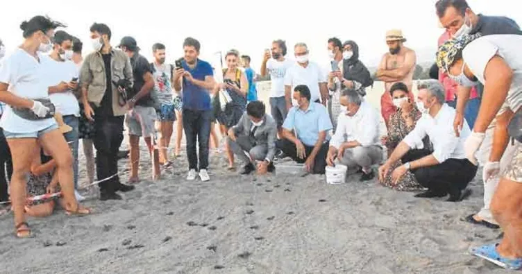 5 bin caretta denizle buluştu