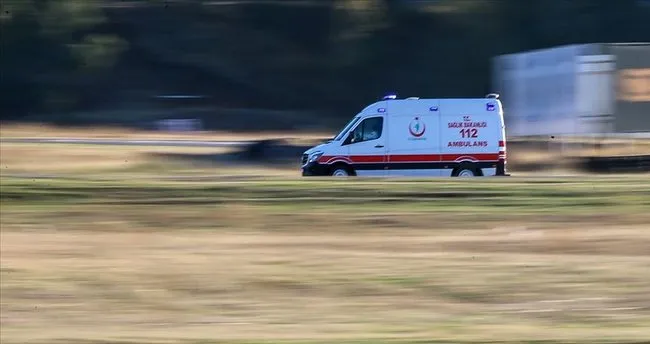 Kestiği ağaç üzerine devrildi: 51 yaşındaki adam feci şekilde can verdi!