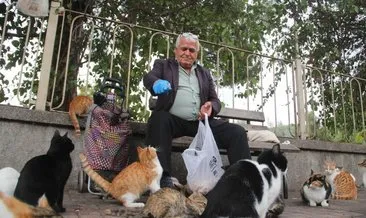 ’Kedici baba’ 20 yıldır her gün 500’e yakın kedi besliyor