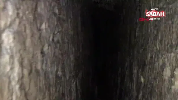 Sinop'ta bulunan 10 kilometrelik esrarengiz tünelin ucu nereye çıkıyor? | Video