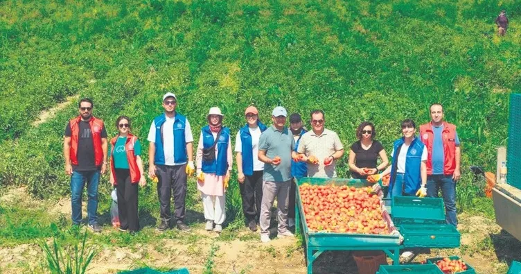 Haydi gençler tarlaya
