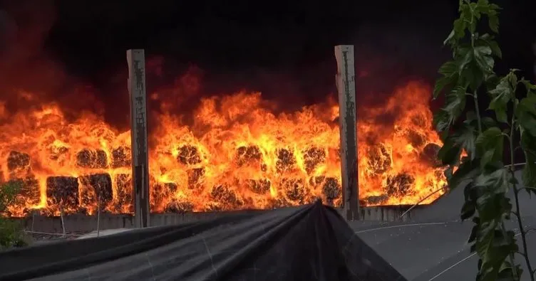 SON DAKİKA: Adana’da korkutan yangın! Geri dönüşüm fabrikası alevler içinde kaldı